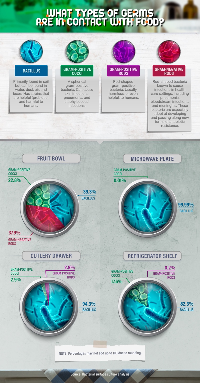 What types of germs are in contact with food?