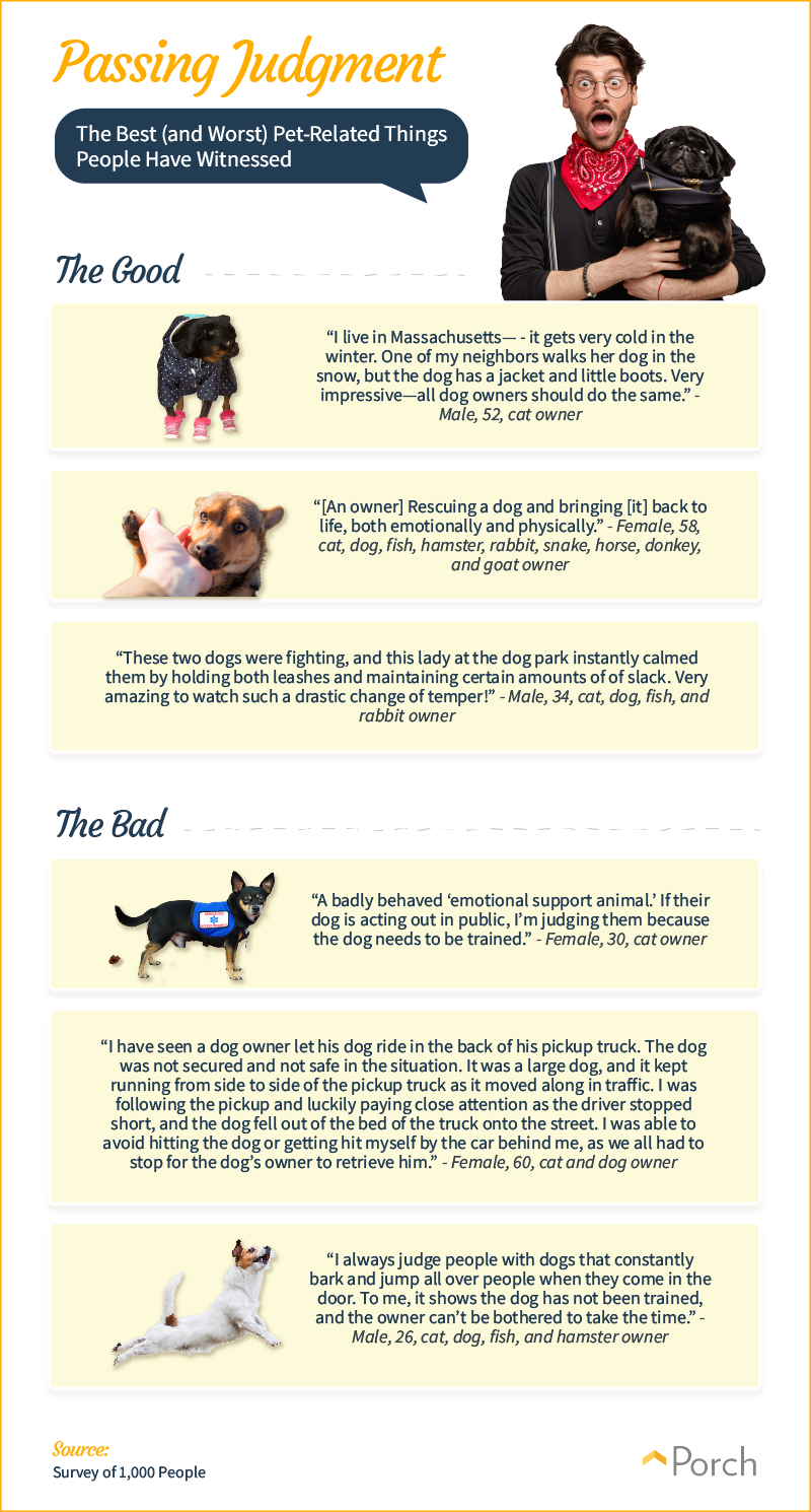 The best and worst pet-related things people have witnessed.